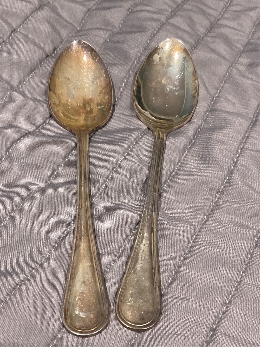 Classic Stainless-Style Silver Serving Spoons - Pair